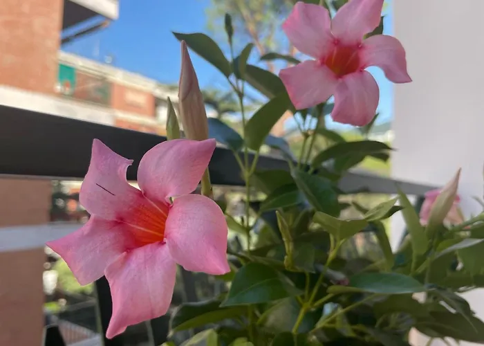 Sunset Πανσιόν 4*